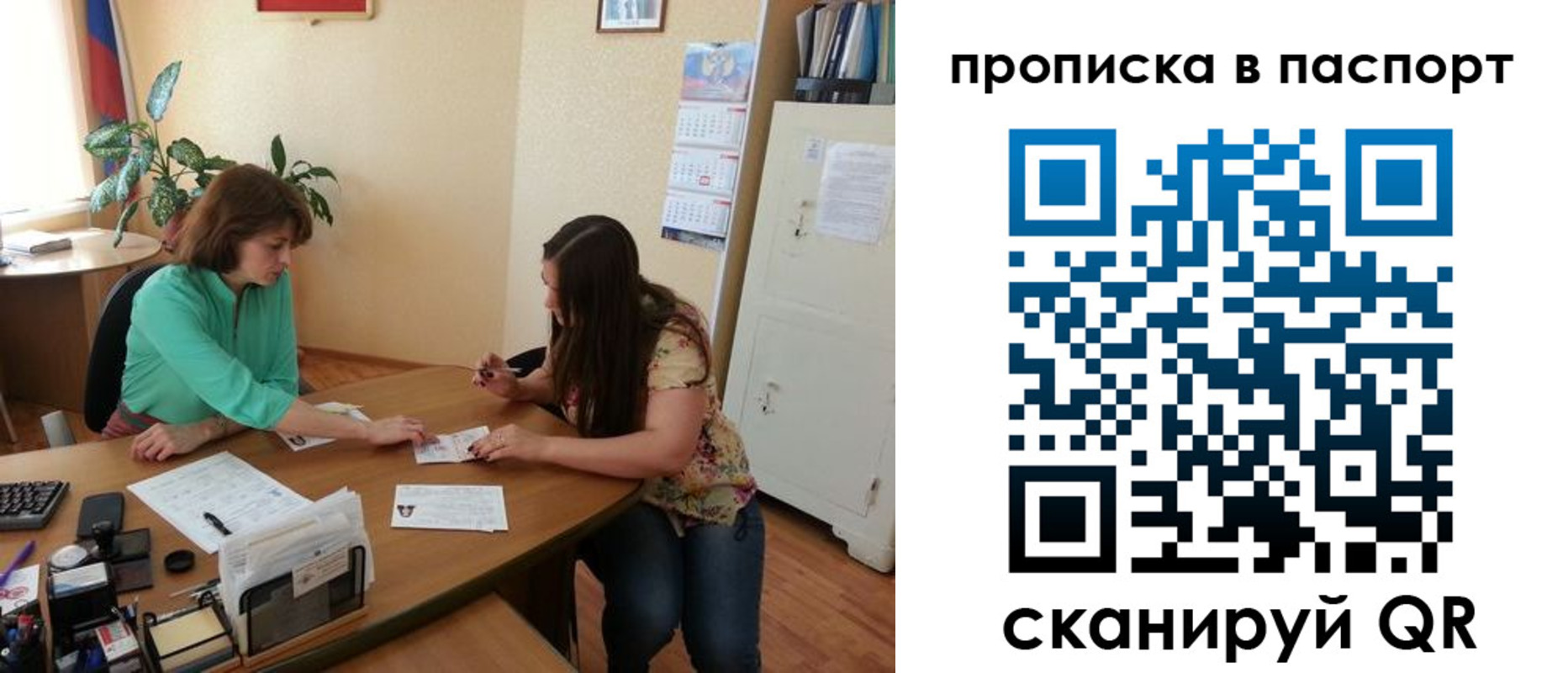 прописка поиск в Коле